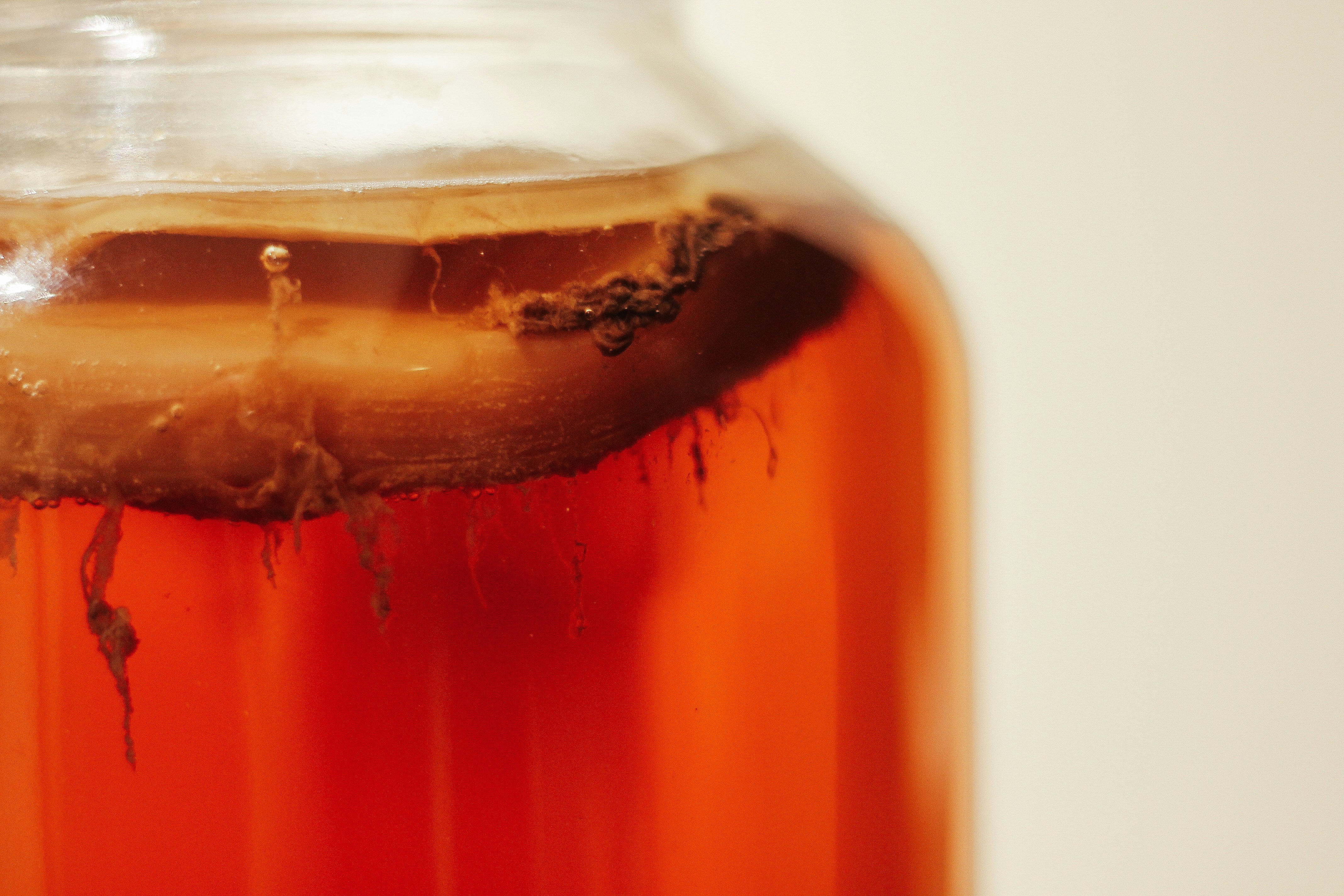 OsKombucha