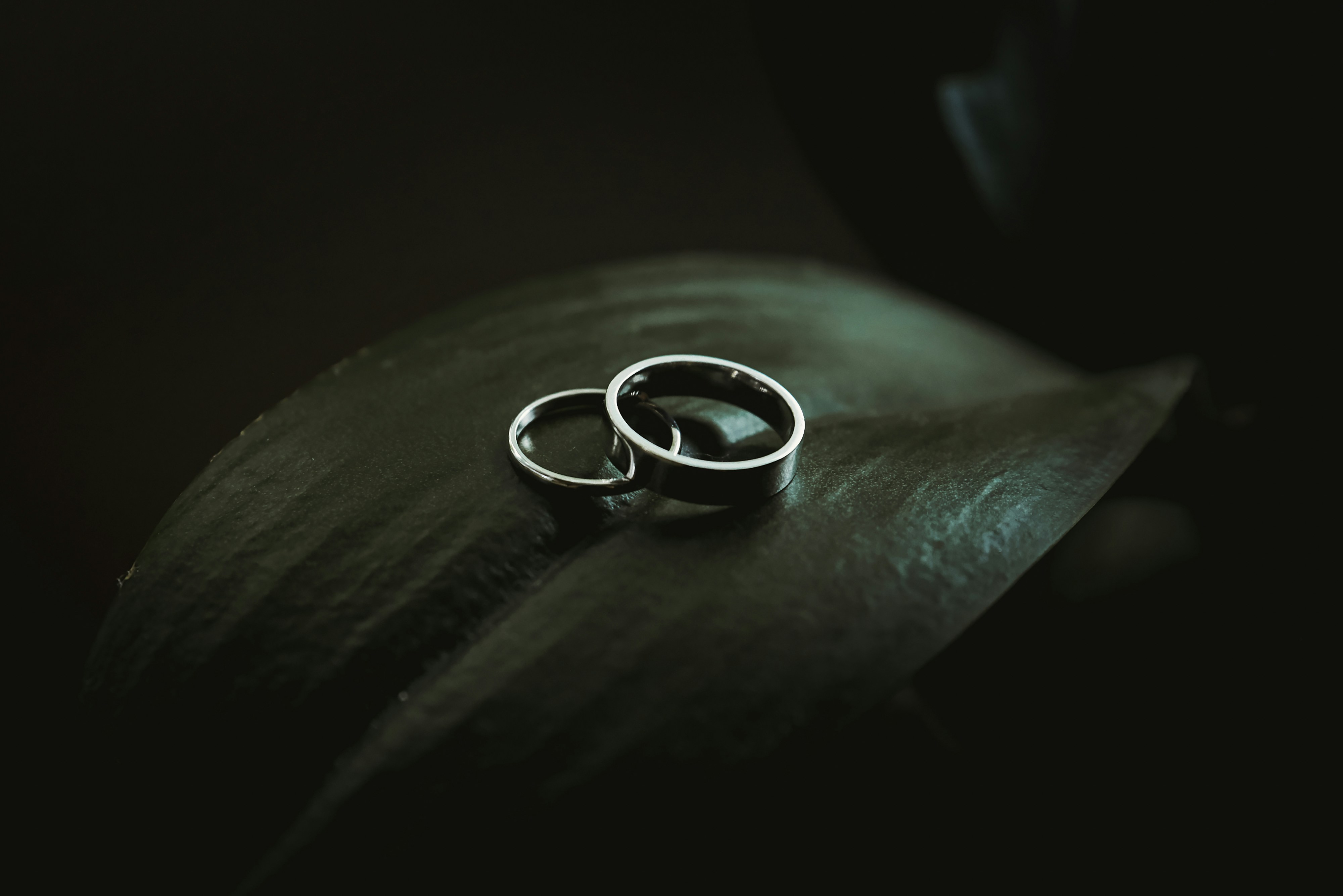 Ring (Кольцо, которое следит за здоровьем)